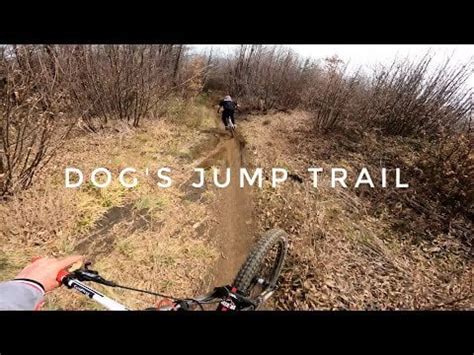 Riding one of my favourite MTB trails! : r/gopro