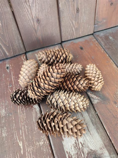 Шишки еловые в интернет-магазине Ярмарка Мастеров по цене 70 ...