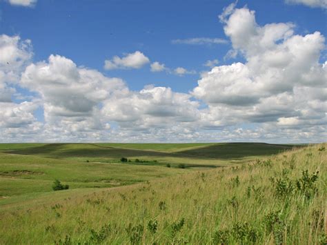 Kansas A Rich Heritage Of Environmental Education Dyck Arboretum