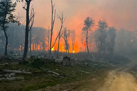 Incendio En Tolhuin No Ha Tenido Avances Tdf Conectada