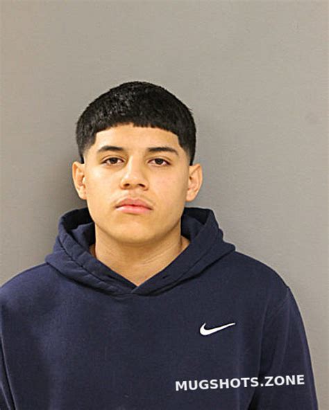 SAUL MANUEL CANELO ROJAS 12 03 2023 Chicago Mugshots Zone