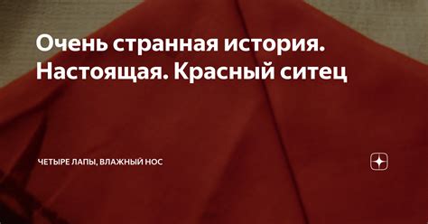 Очень странная история. Настоящая. Красный ситец | Четыре лапы, влажный ...