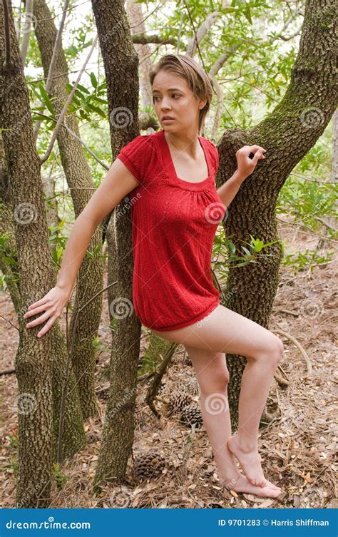 Brunette Stock Image Image Of Gorgeous Short Beautiful