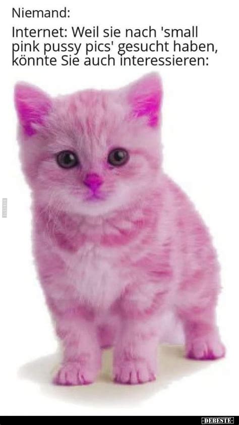 Niemand Internet Weil Sie Nach Small Dr Pussy Pics Gesucht Haben K Nnte Sie Debeste De