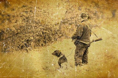La Chasse Cette Passion Qui Guide Notre Vie Chasse Passion