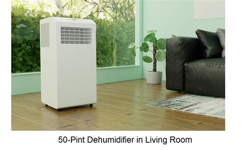 Save Energy With Your Dehumidifier