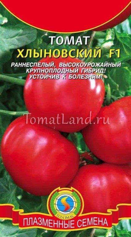 Томат Хлыновский: ОТЗЫВЫ (10), фото, урожайность, описание и ...
