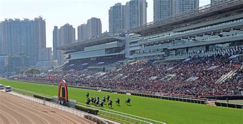 What Louisville Experts Are Saying About The June 12, 2024 Churchill Selections Image 3