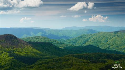 Szeroki Wierch i Tarnica bieszczadzki klasyk Zieloni w podróży