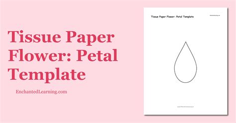 Tissue Paper Flower Petal Template Enchanted Learning