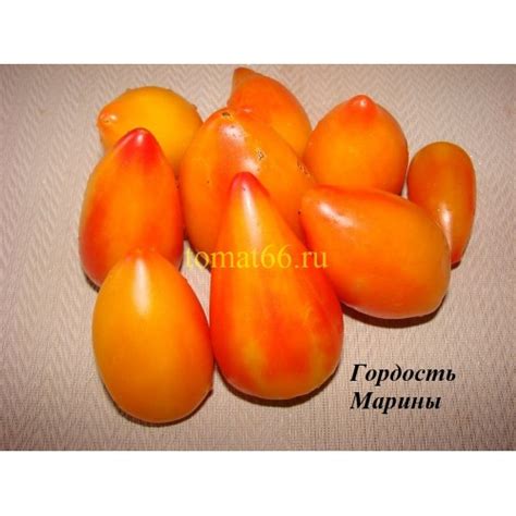 Гордость Марины