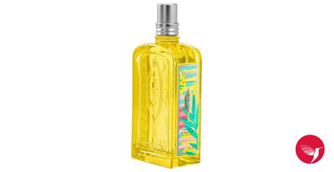 Verveine Agrumes 2022 L'Occitane en Provence perfume - a new fragrance ...