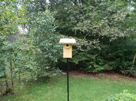 Bluebird Houses Must Have Predator Guards All Things Bluebirds