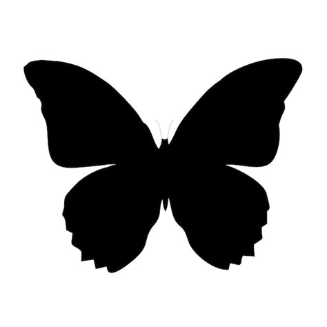 Borboleta Silhueta - Borboleta Silhueta Negra Vista Superior Imagens – Download Grátis no ...