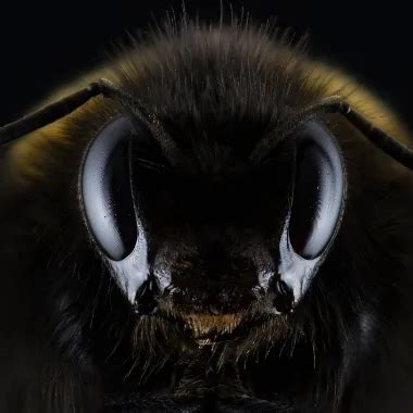 Bbw Rasiert Ihre Gro E Fette Fotze Xhamster