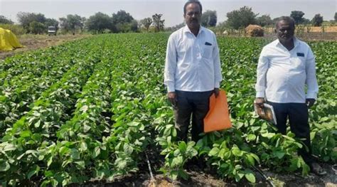 How Maharashtra Govt Sowed Seeds Of Prosperity For Soybean Farmers