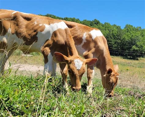Premium Photo Bottle Babe Sunshine