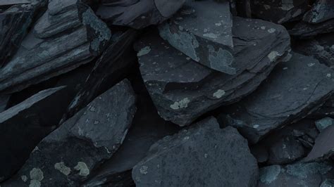 create  polygon   shape file   guides seequent