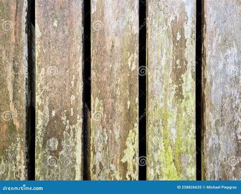 Close Up View on Different Wood Surfaces of Planks Logs and Wooden ... 