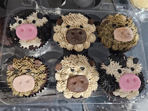 Cow Cupcakes Rbaking