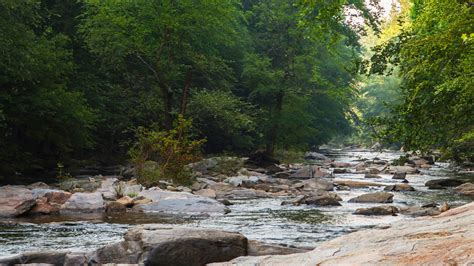 Chattahoochee River National Recreation Area - Missing NPF