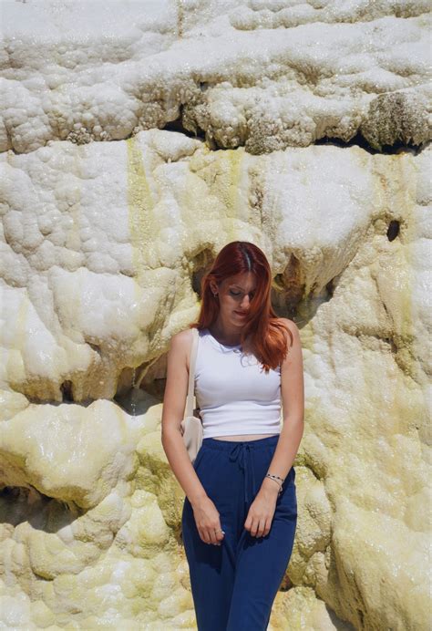 Sheffield Massachusetts: Discover Hidden Gems and Local Secrets