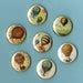 Hot Air Balloon MAGNETS Set Of SIX Etsy