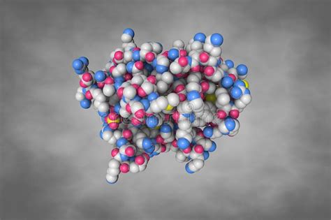 Space Filling Molecular Model Of Human Granzyme H Stock Illustration