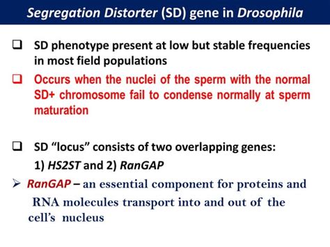 Sex Determination In Insects Pdf Infertility Reproductive Health