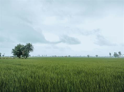 Valeria Alejandra Vidal Pictures | Download Free Images on Unsplash