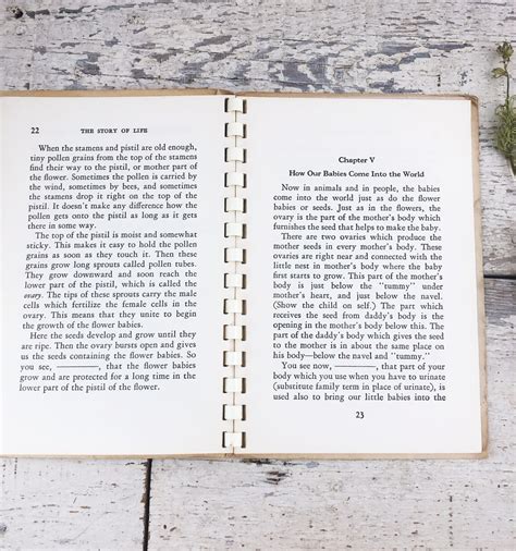 Vintage Sex Ed Booklet The Story Of Life Etsy