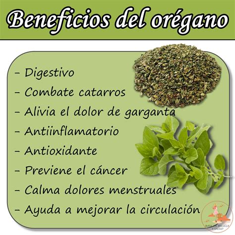 Para Qué Sirve El Orégano Con Miel – TRLP