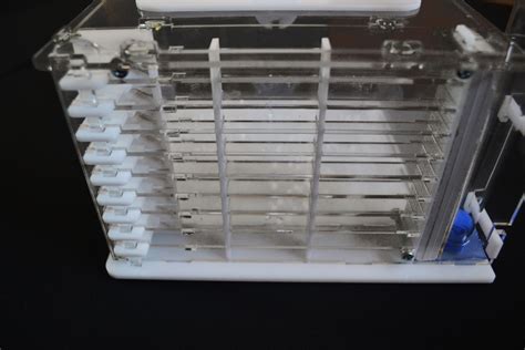 Моноліт повний комплект - мурашина ферма з мурахами - Uants