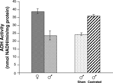 Sex Differences Alcohol Dehydrogenase Acetaldehyde Burst And