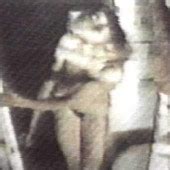 Jessica Lange Nude Pictures Photos Playboy Naked Topless Fappening