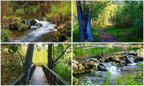 La Ruta De Los Molinos De Alborache Un Bello Recorrido Pegado Al Río Buñol