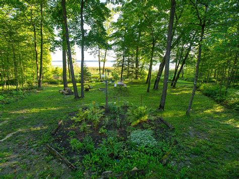 Strawberry Lake Cabin Rochert Mn