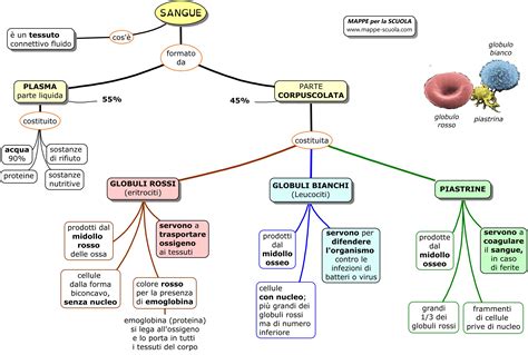 Mappe Per La Scuola Sangue