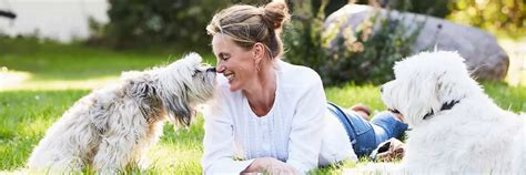 Do Dogs Get Nasal Polyps
