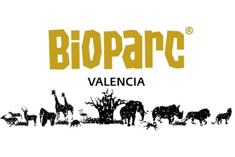 Visita Educativa Al Bioparc Valencia Descubre La Fauna Africana La