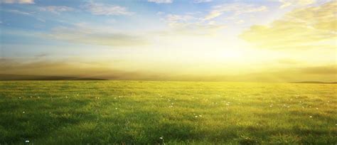 environmental management yesiso