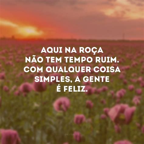 Frases Caipira - 40 frases caipiras para quem é da roça e se orgulha disso