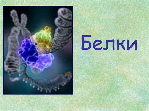 Белки - презентация онлайн