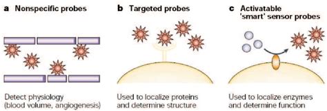 Figure 1 12 From Design Synthesis And Characterization Of