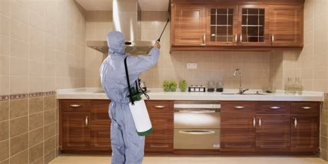 Best Termite Treatment Company In Gurgaon Deemakroko