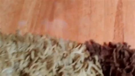 Hairy Pussy Anal Play Porn Videos