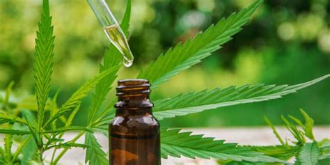 CBD Oil: Understanding the Hype | Project CBD