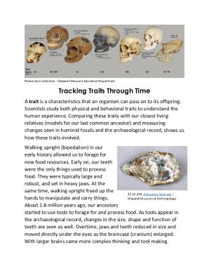 Fillable Online Maxwellmuseum Unm Sex And Ancestry Estimation Methods In Modern Filipino Fax