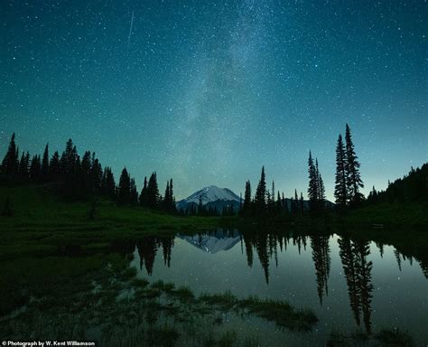 Stunning Shot Of Three Bald Eagles Wins National Geographics Picture