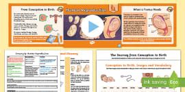 RSHP Understanding Sex PowerPoint Teacher Made Twinkl